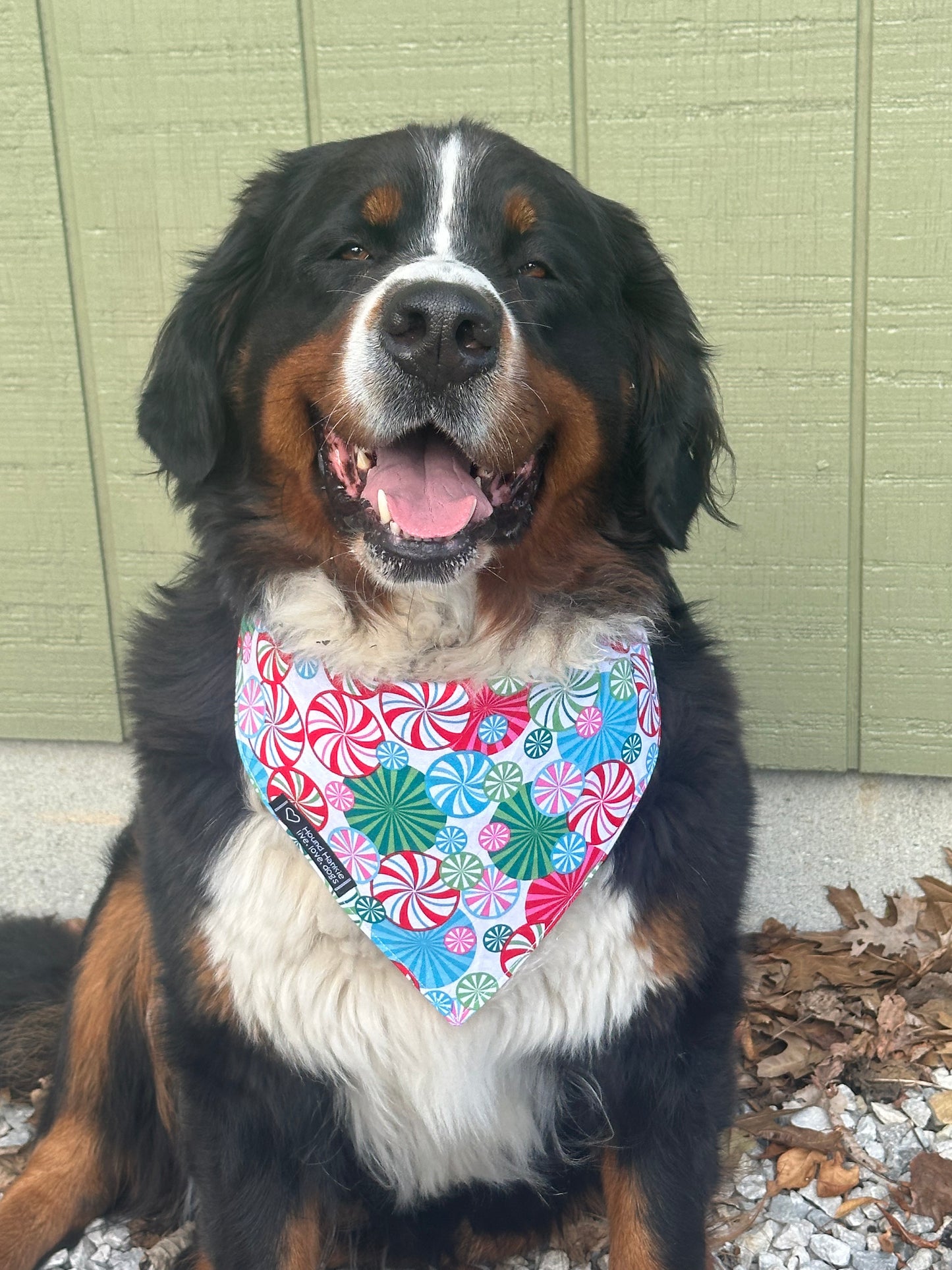 Frosty Mints Reversible Dog Bandana