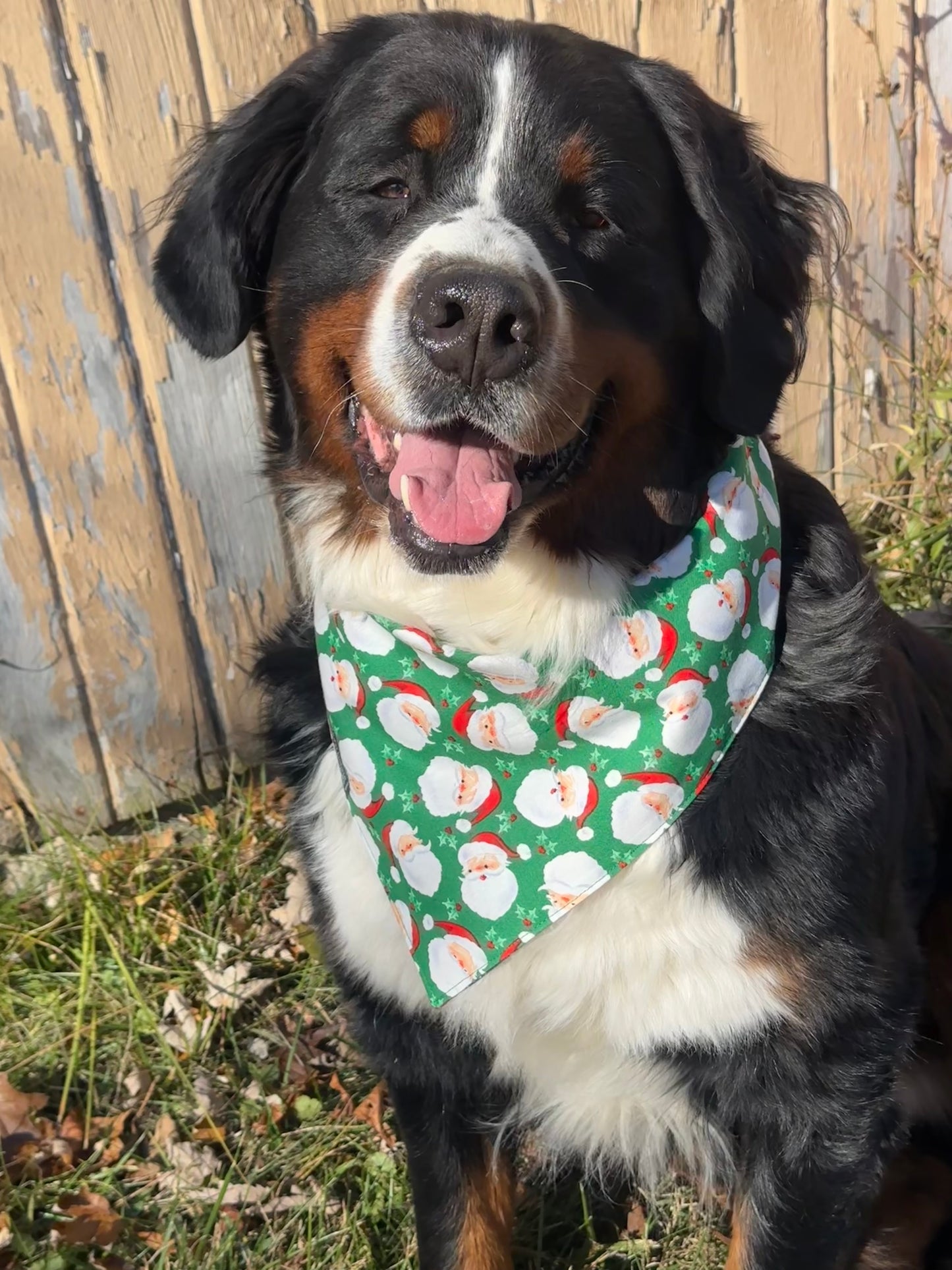 Santa Claus is Coming to Town Reversible Dog Bandana