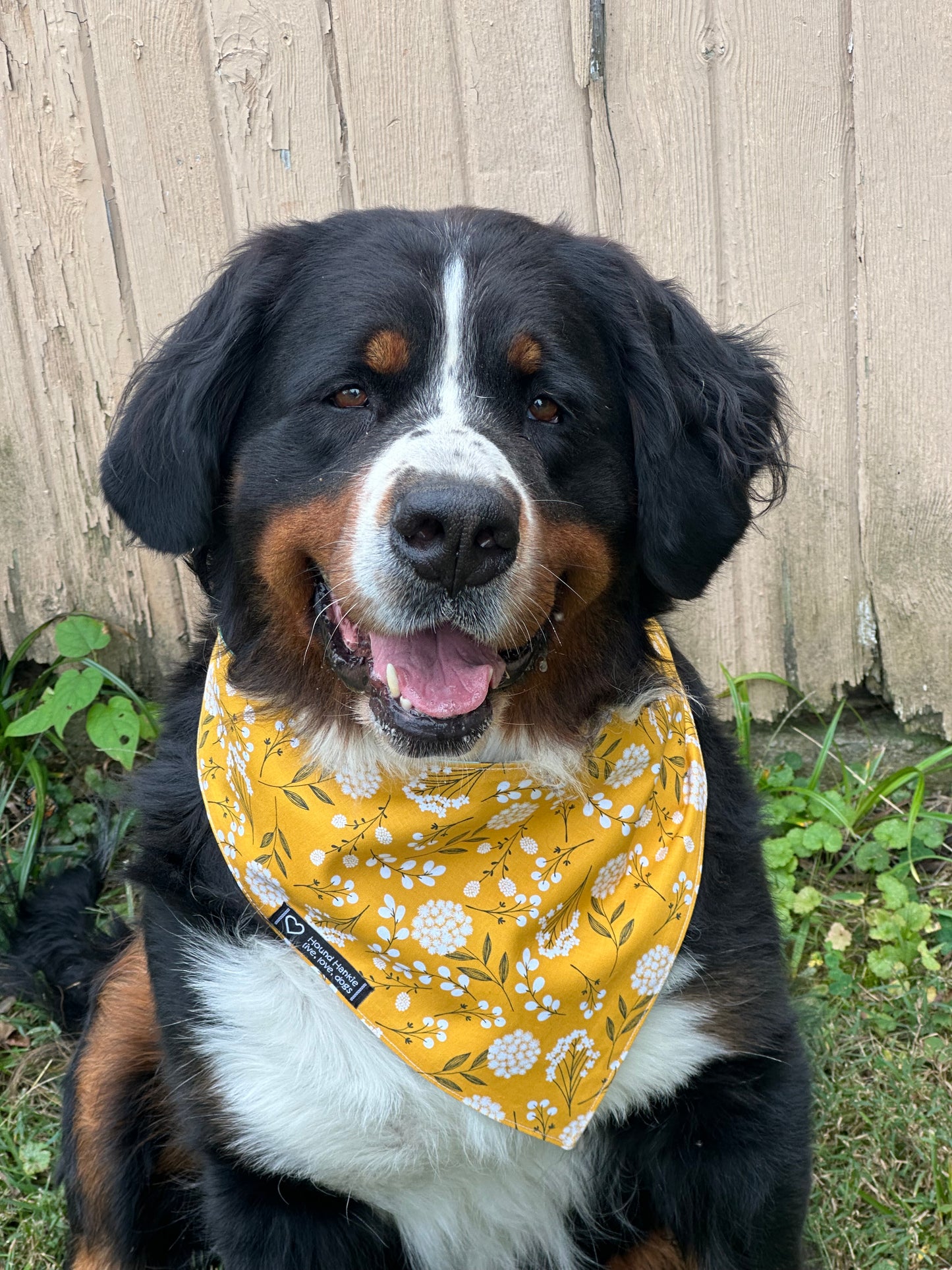Bad A** Just Like Mom Reversible Dog Bandana