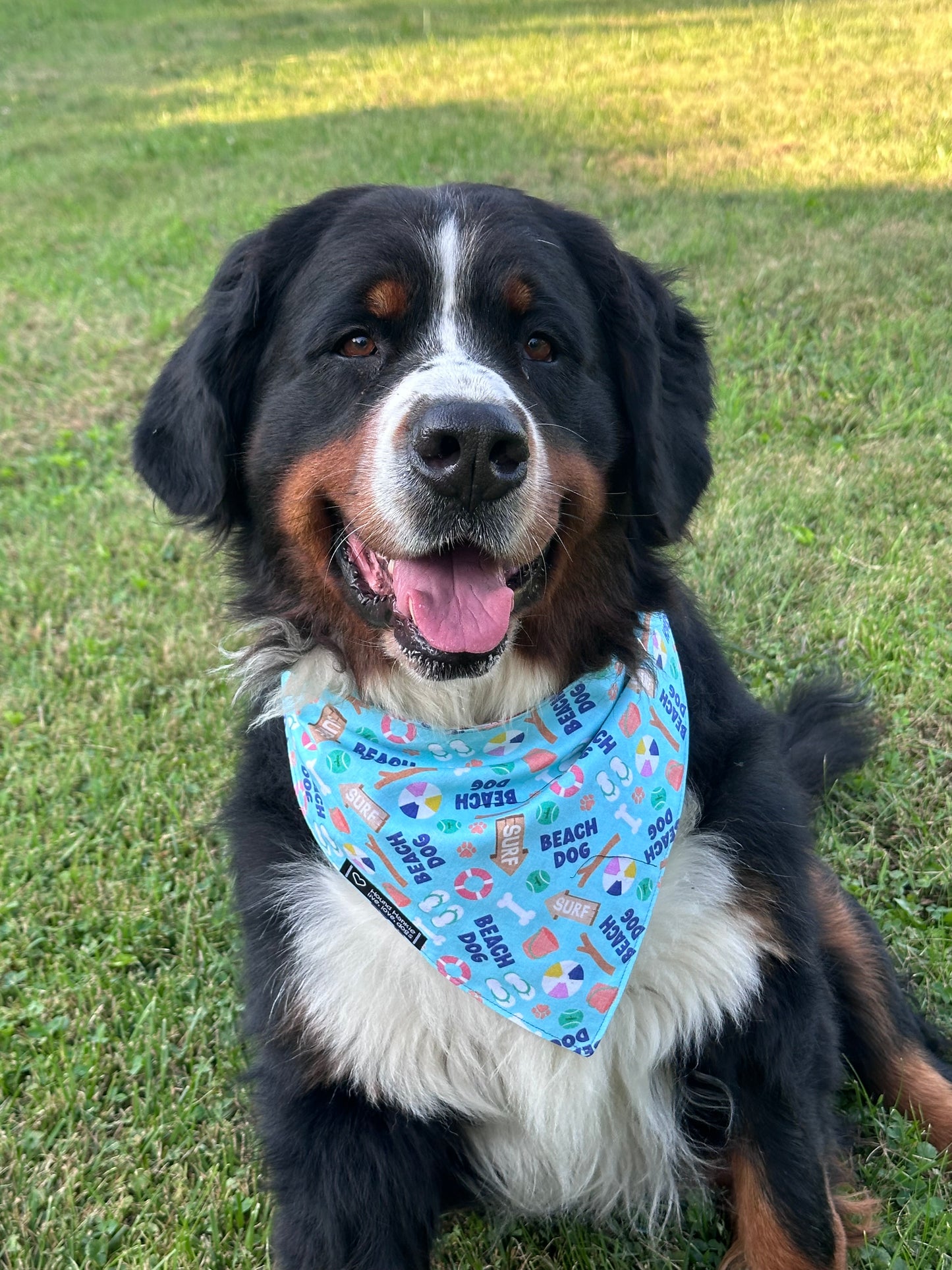 Beach Dog Reversible Dog Bandana