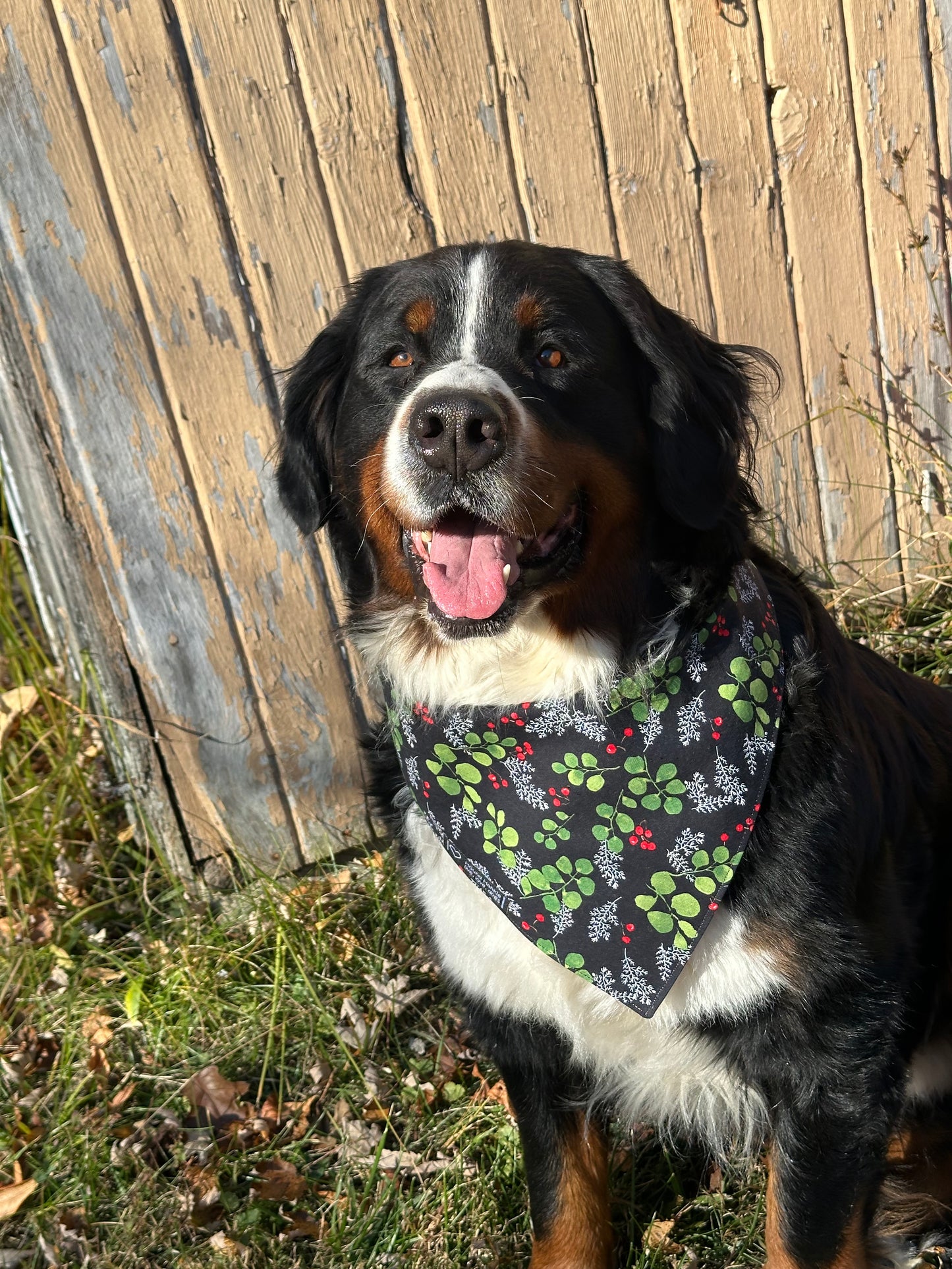Meet Me Under the Mistletoe Reversible Dog Bandana