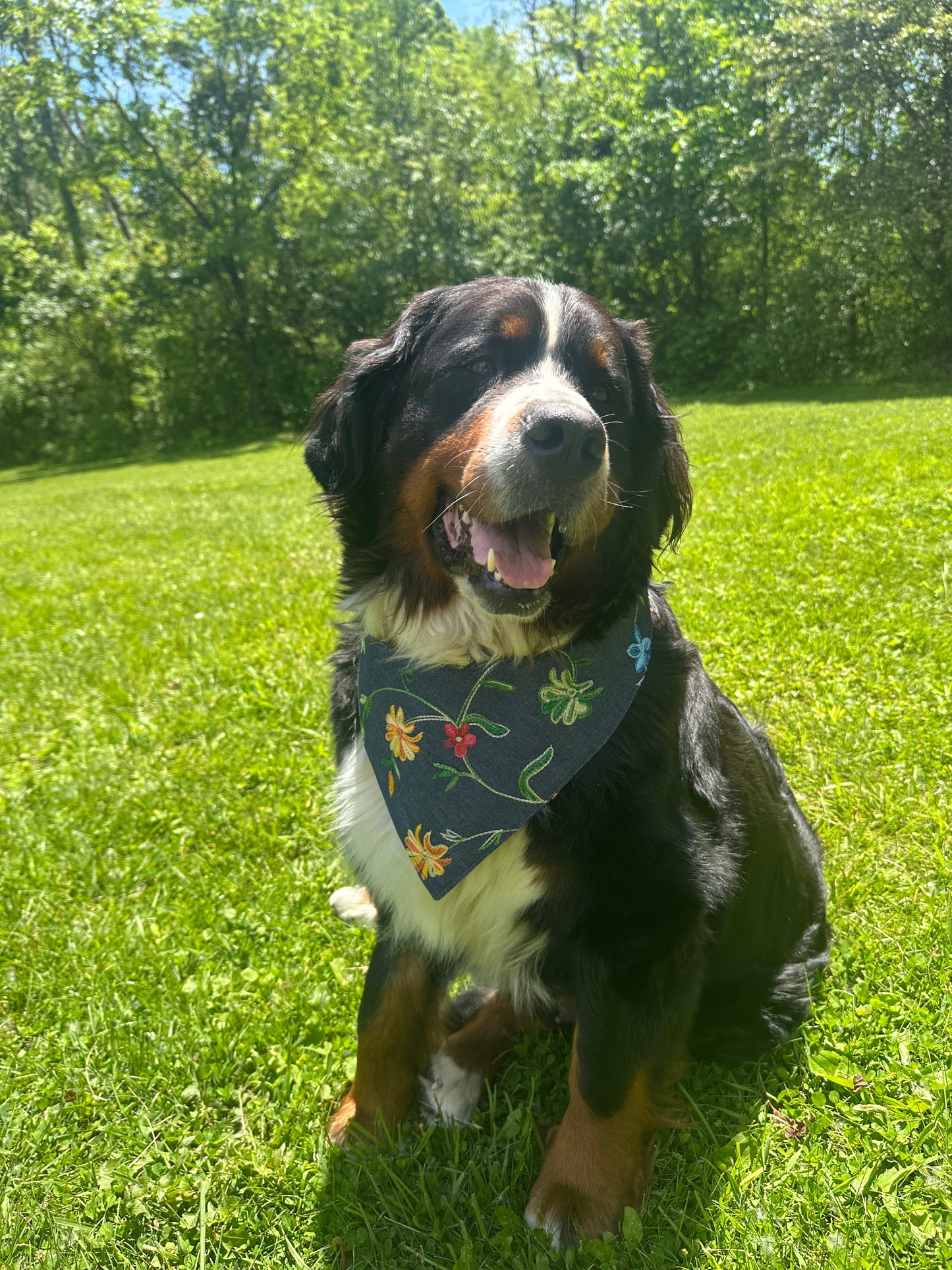 Sew Perfect Reversible Dog Bandana