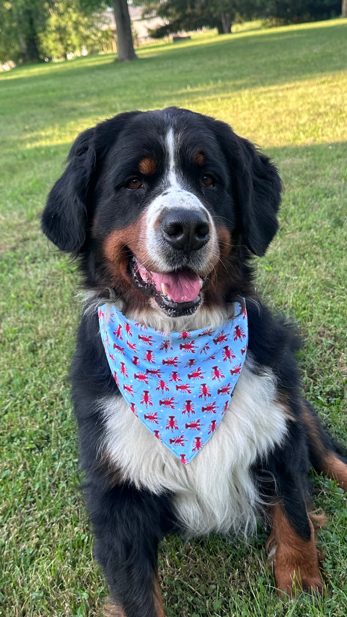 Beach Dog Reversible Dog Bandana