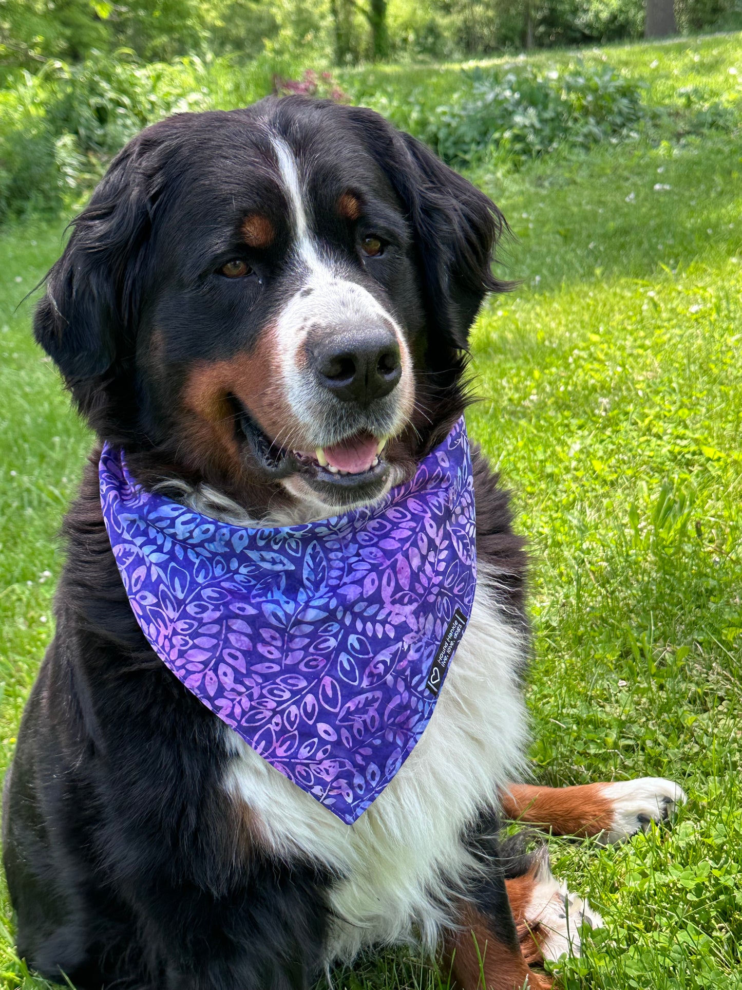 Purple Flower Power Reversible Dog Bandana