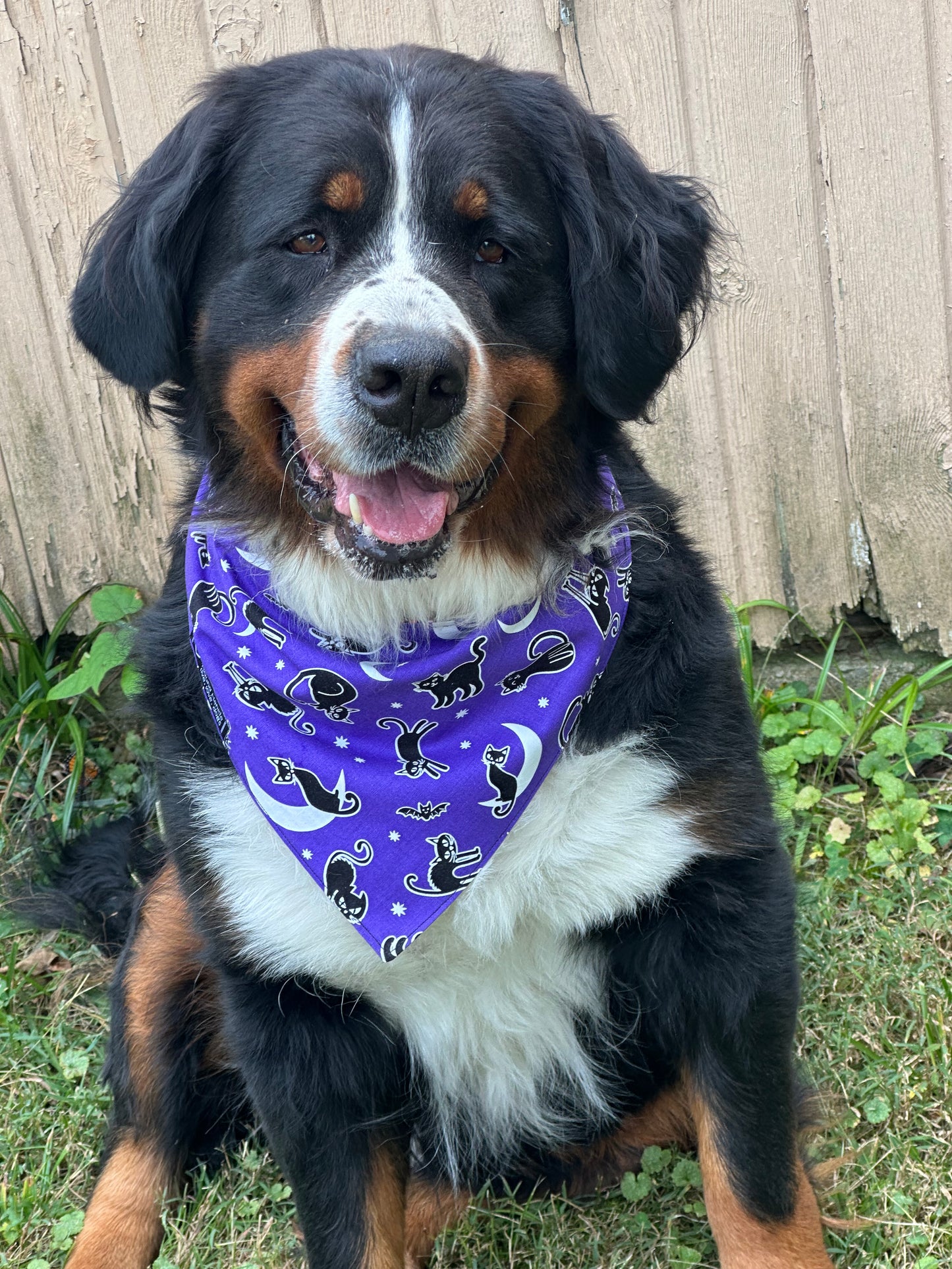 Over the Moon Reversible Dog Bandana