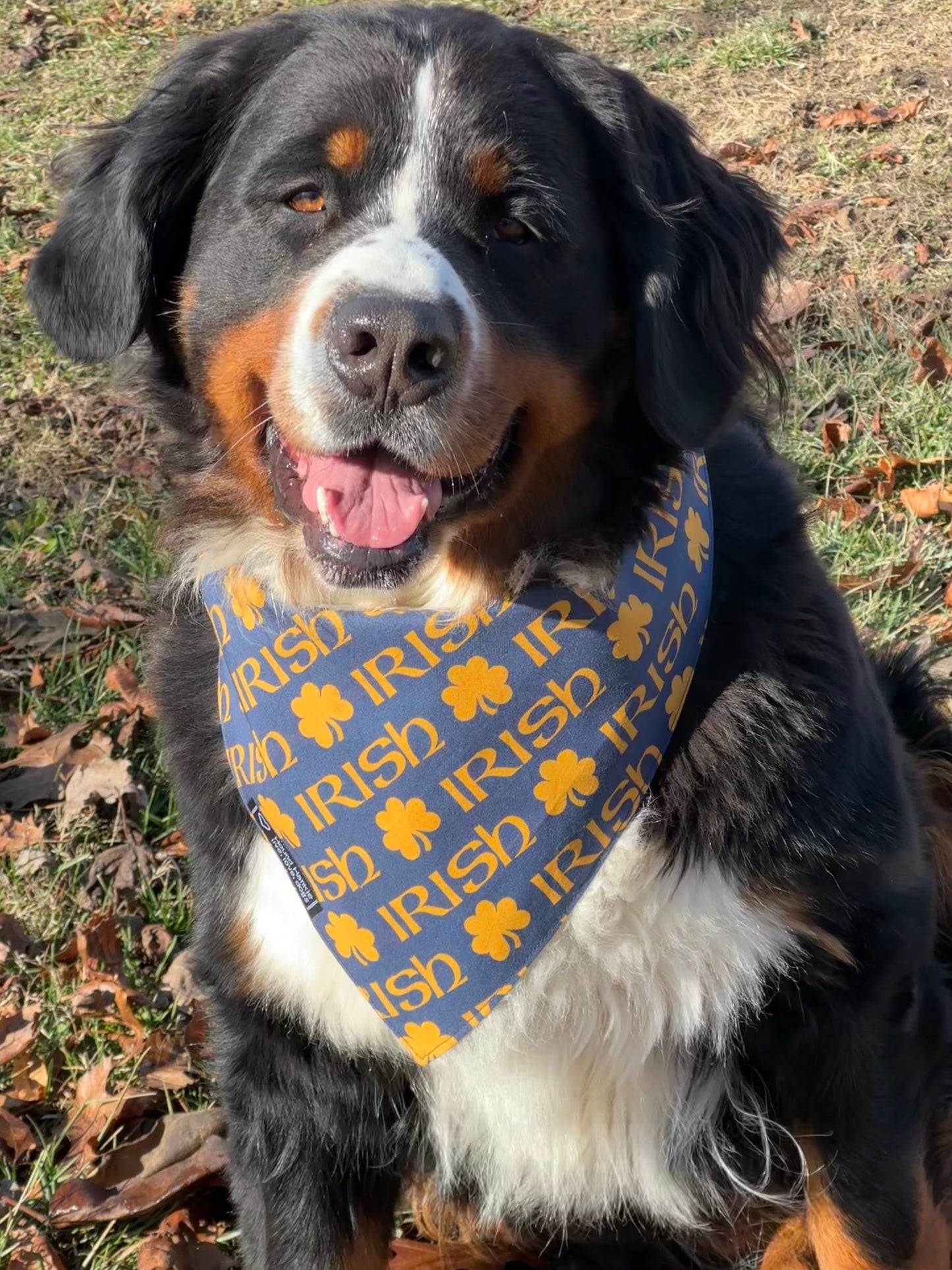 Go Irish Reversible Dog Bandana