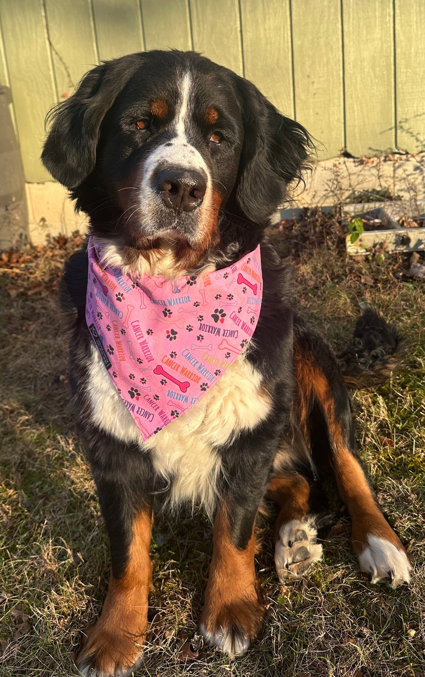 Cancer Warrior Reversible Dog Bandana