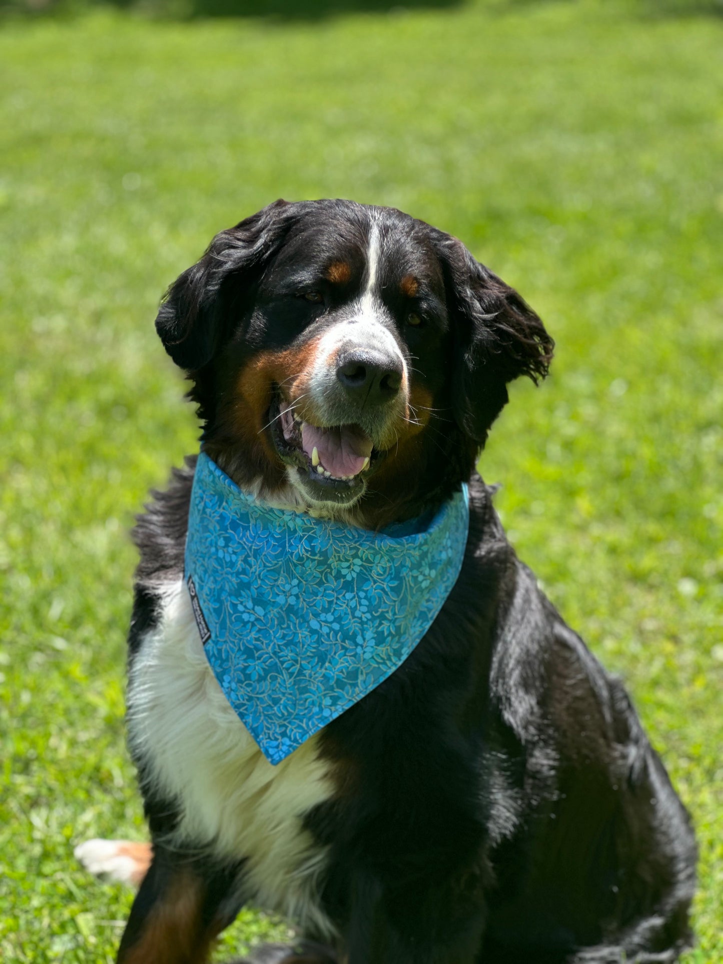 Sew Perfect Reversible Dog Bandana