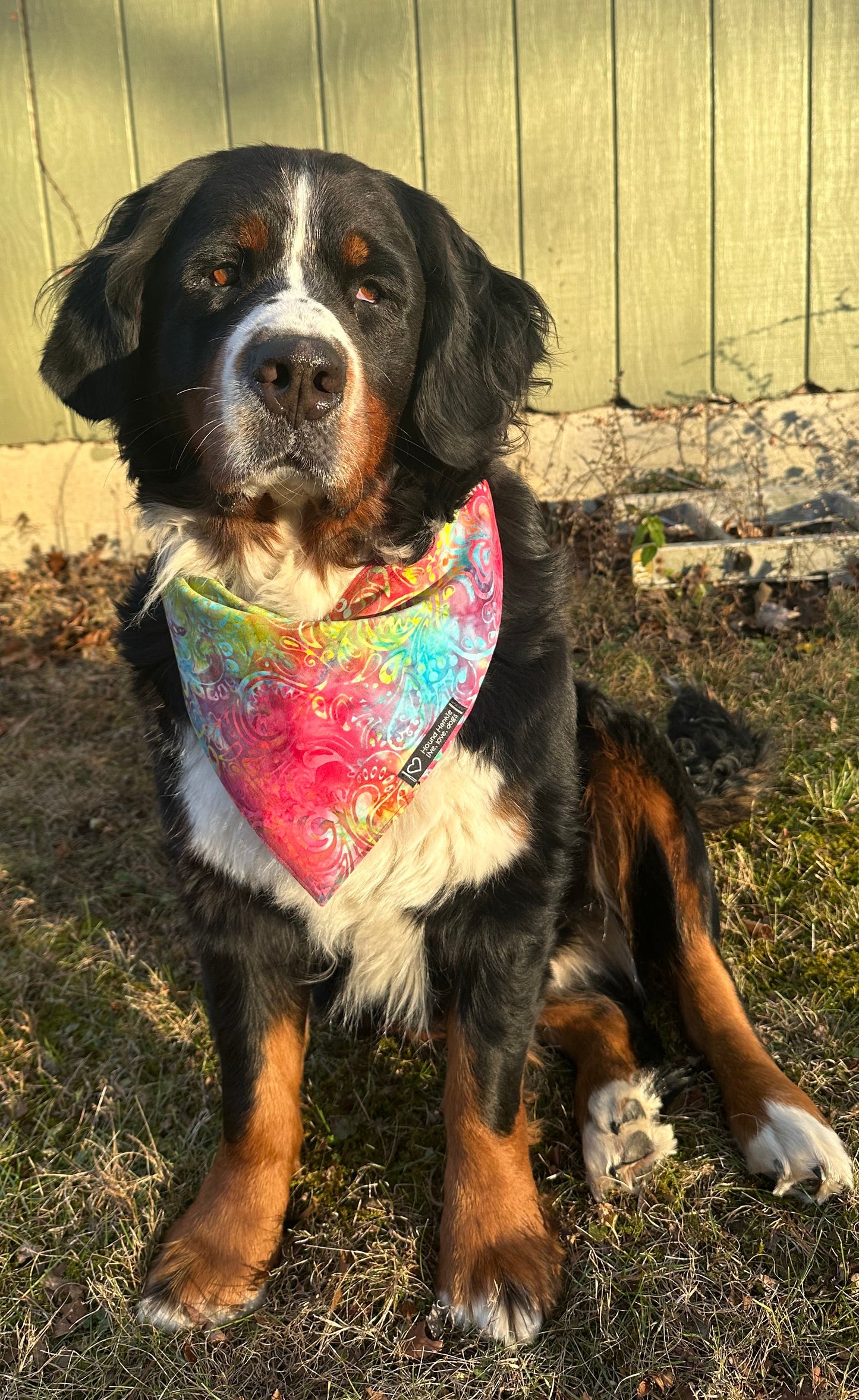 Cancer Warrior Reversible Dog Bandana