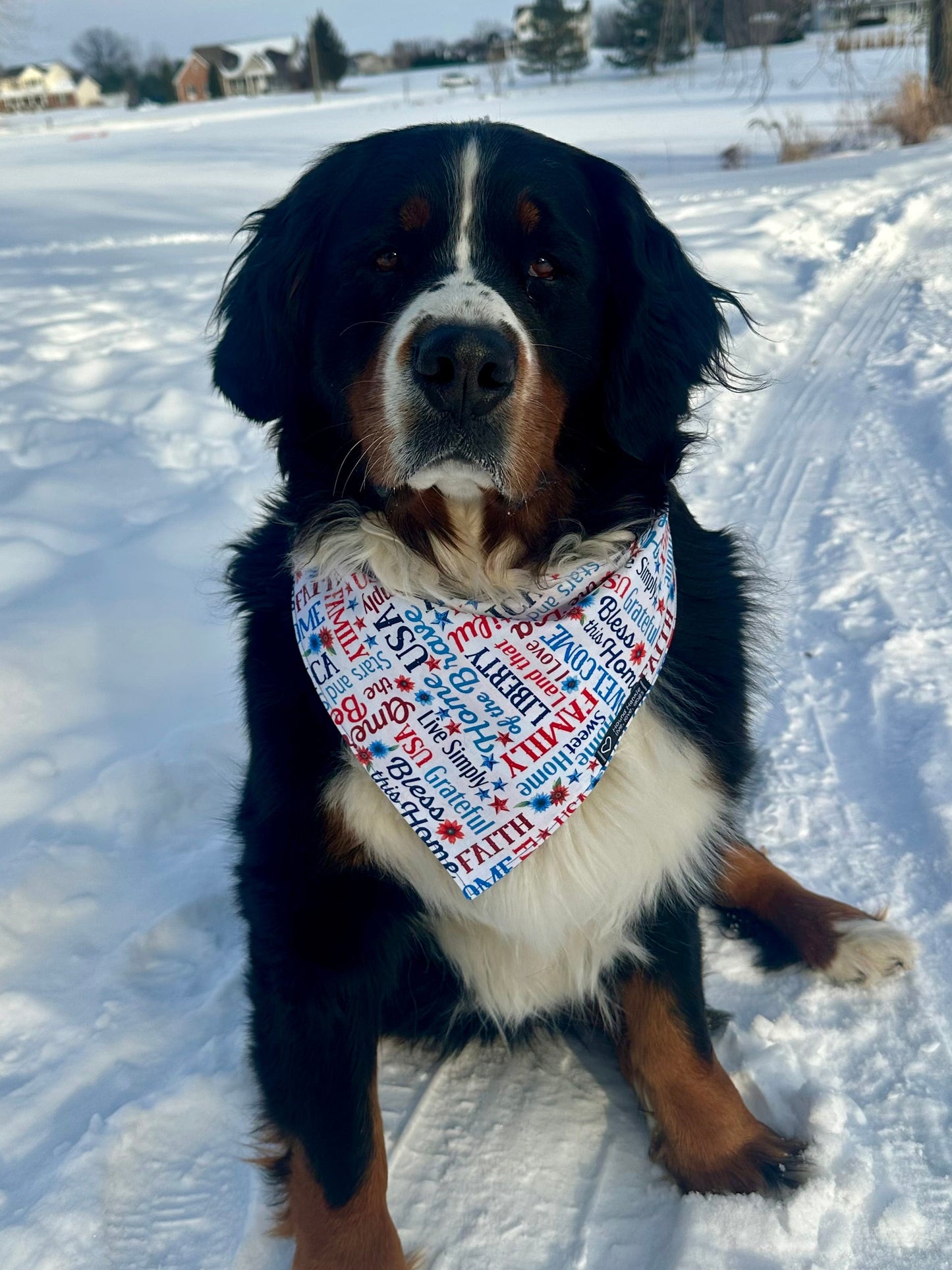 Red, White & Blue Reversible Hound Hankie