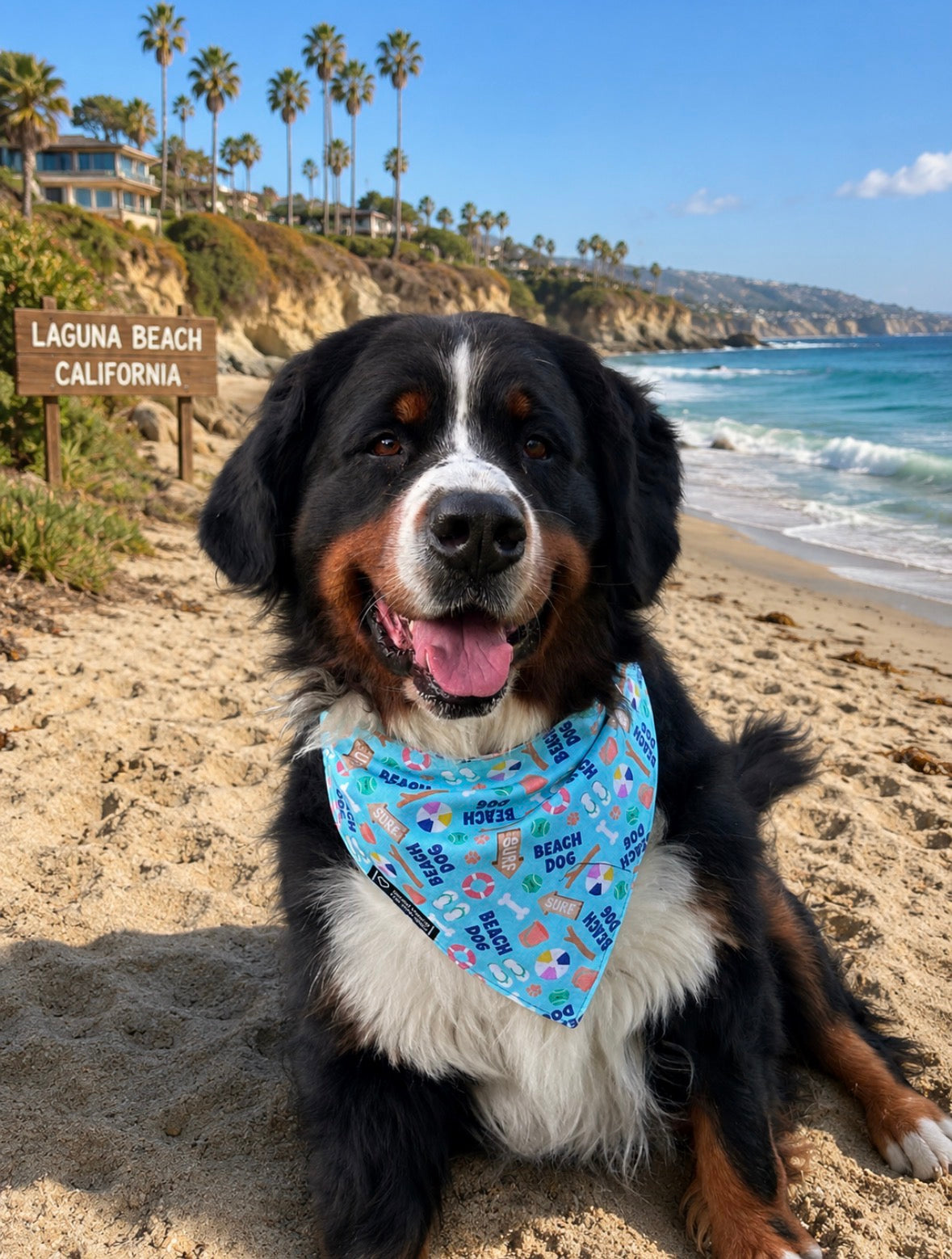 Beach Dog Reversible Dog Bandana