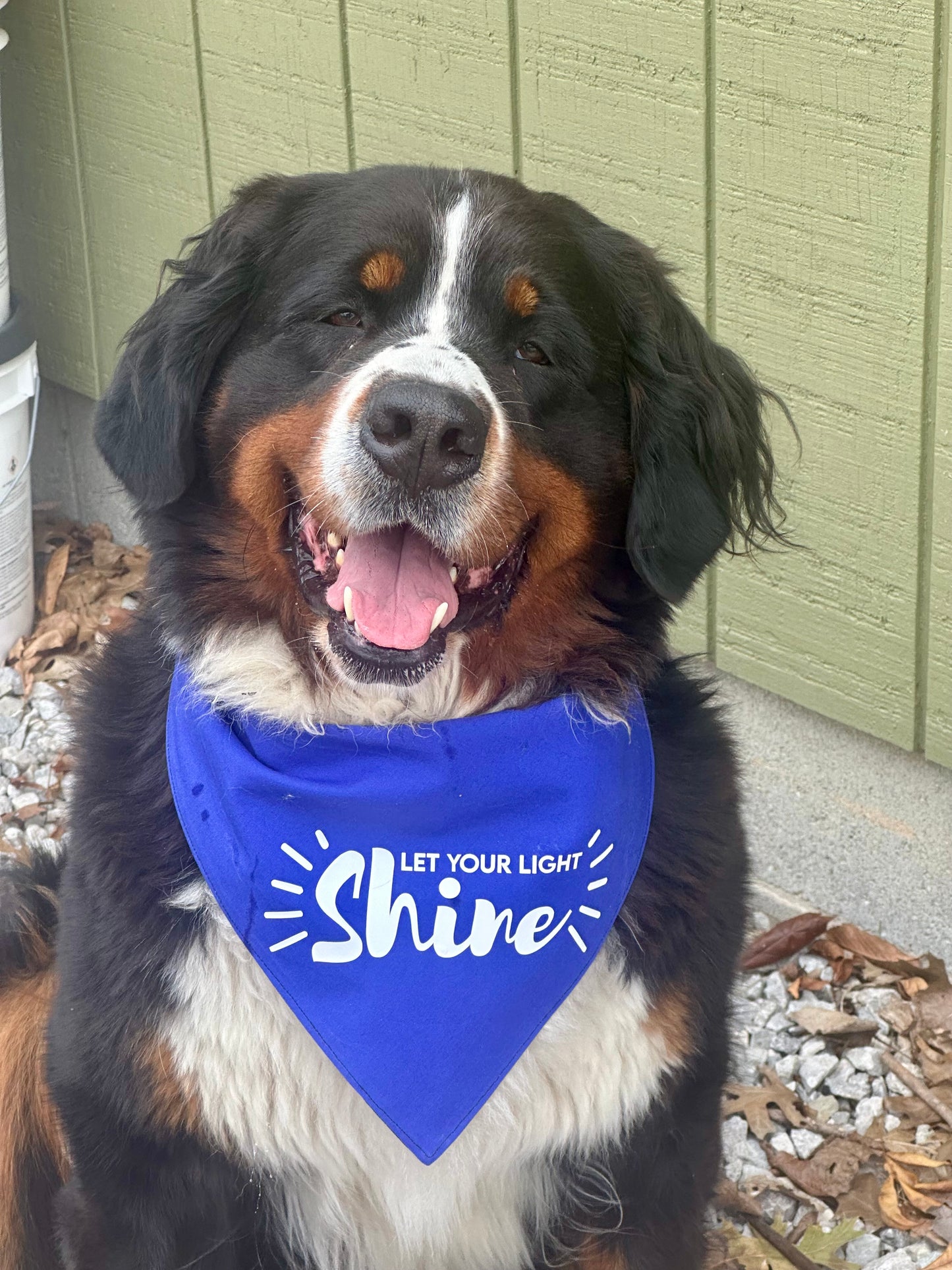 Light Up My Life Reversible Dog Bandana