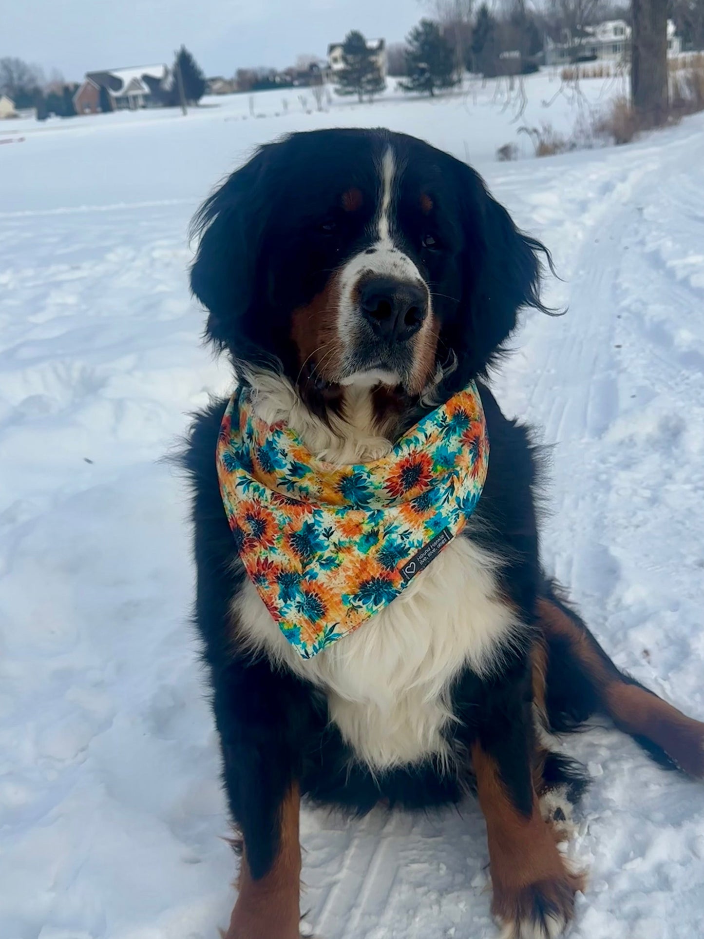 The Rooster Reversible Hound Hankie