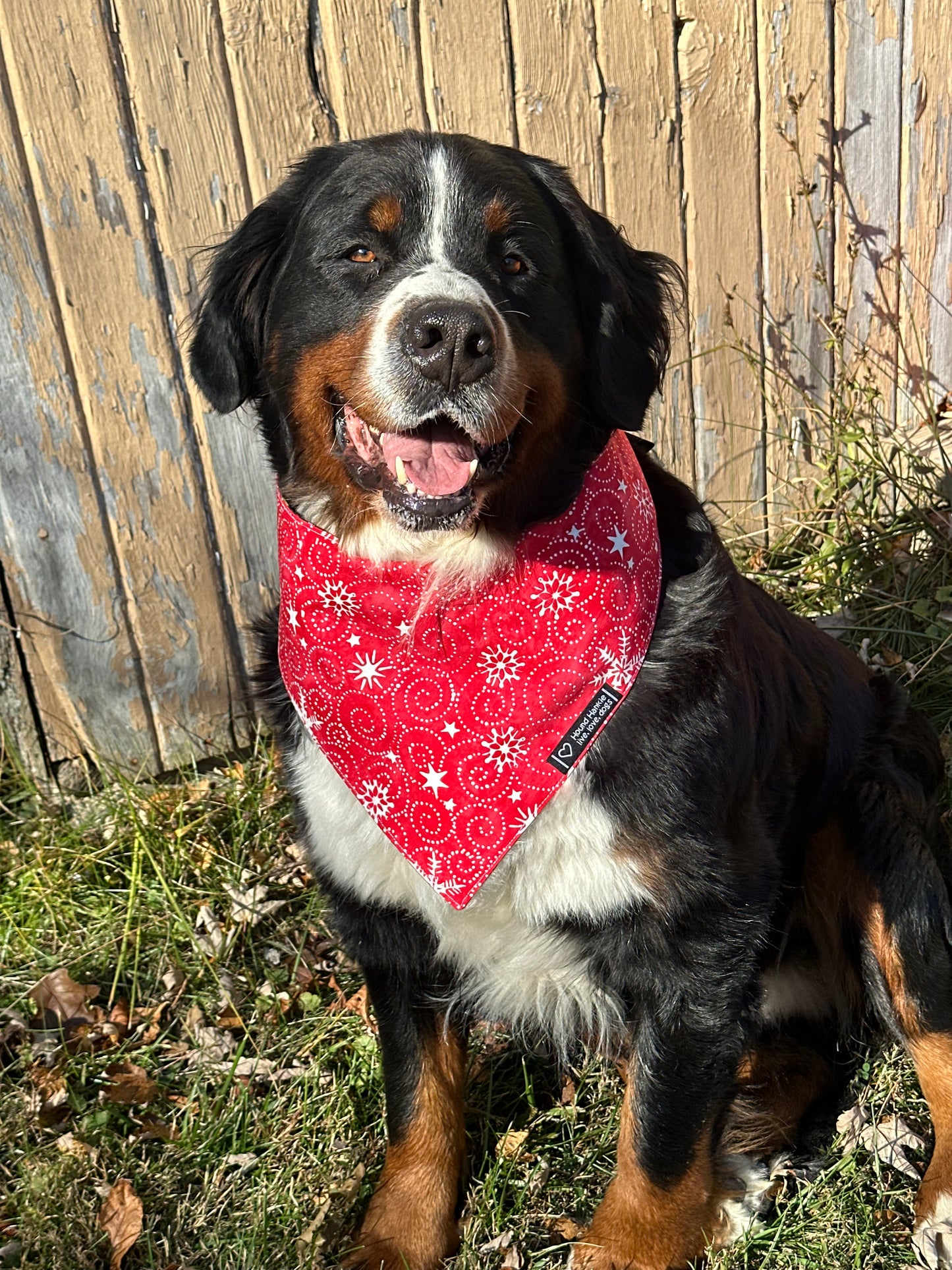 Meet Me Under the Mistletoe Reversible Dog Bandana