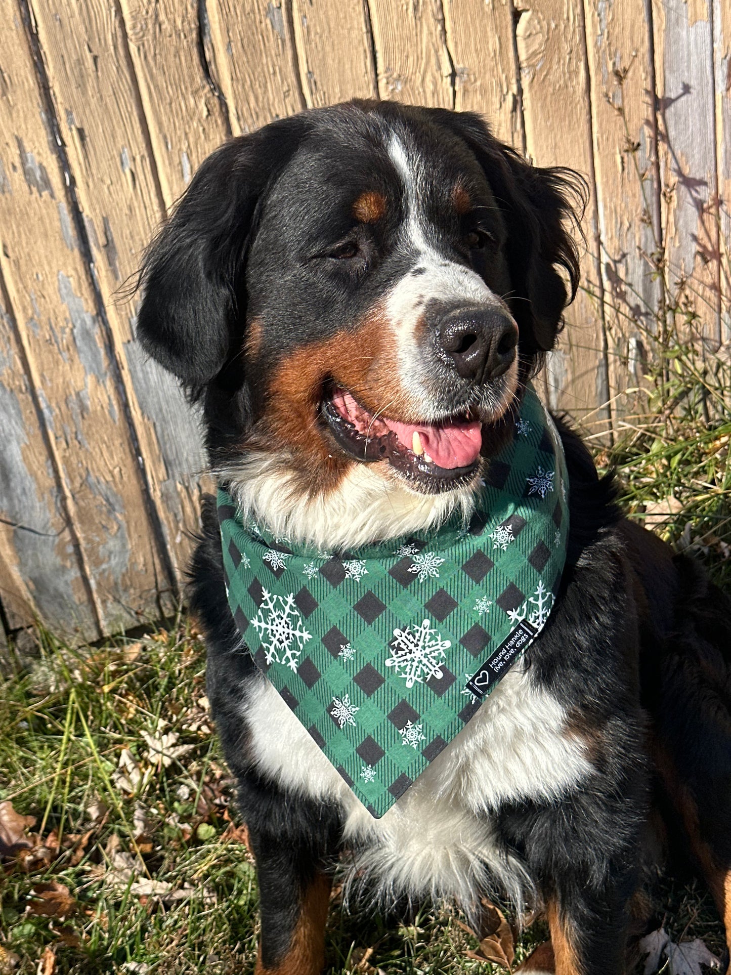 Santa Claus is Coming to Town Reversible Dog Bandana