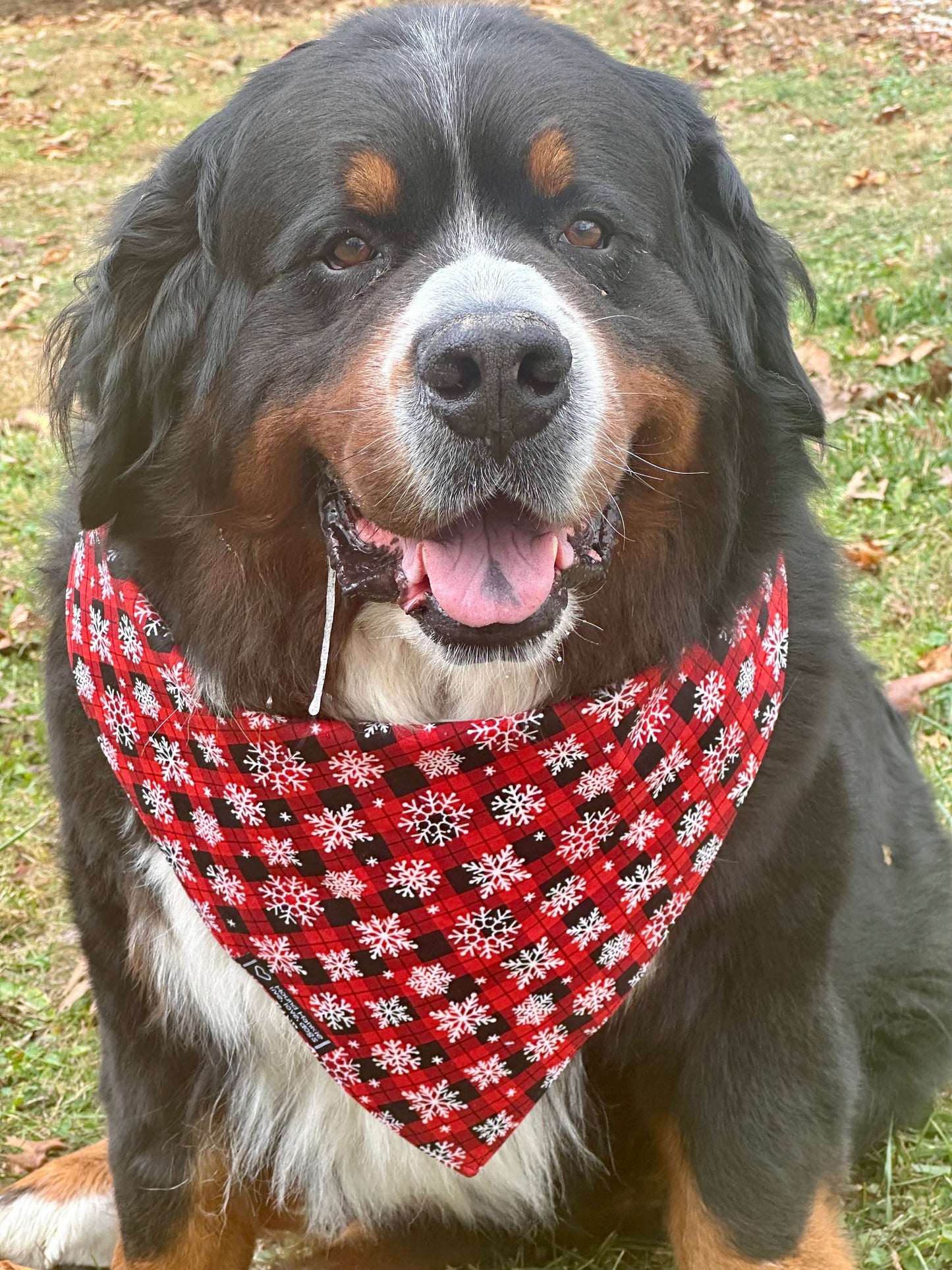 Lumber Jack & Jill Reversible Dog Bandana