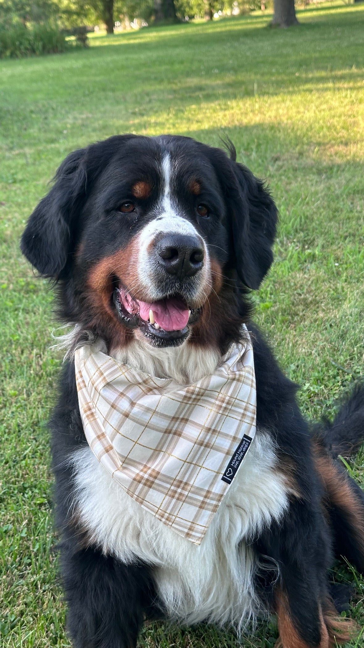 Fromage Fanatic Reversible Dog Bandana