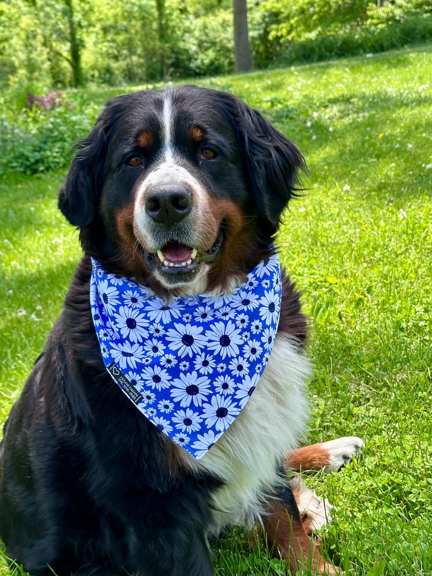Purple Flower Power Reversible Dog Bandana