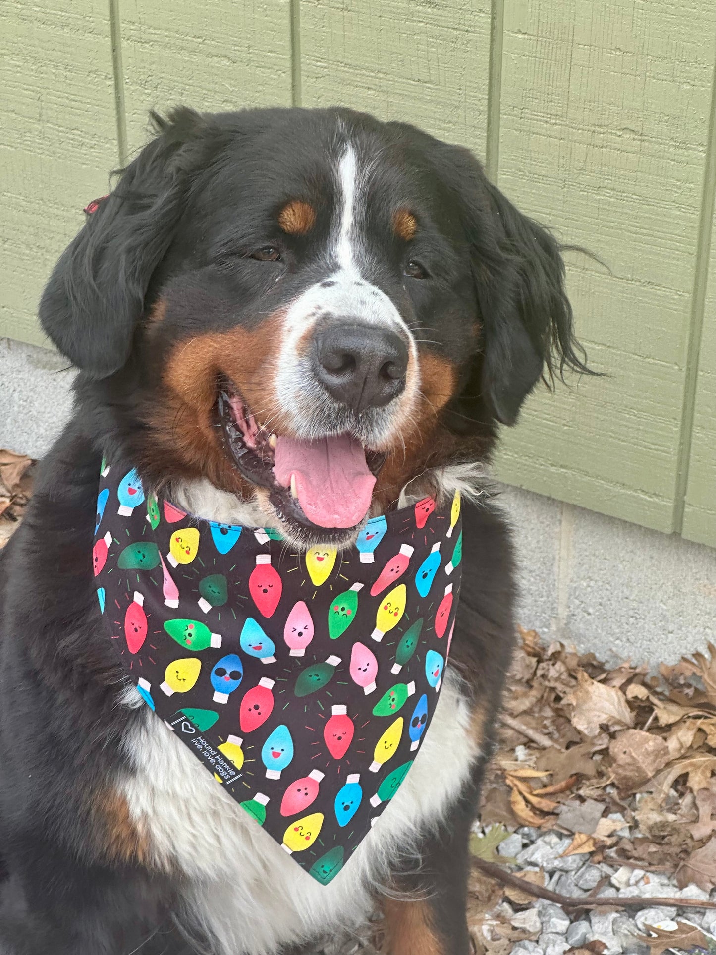 Light Up My Life Reversible Dog Bandana