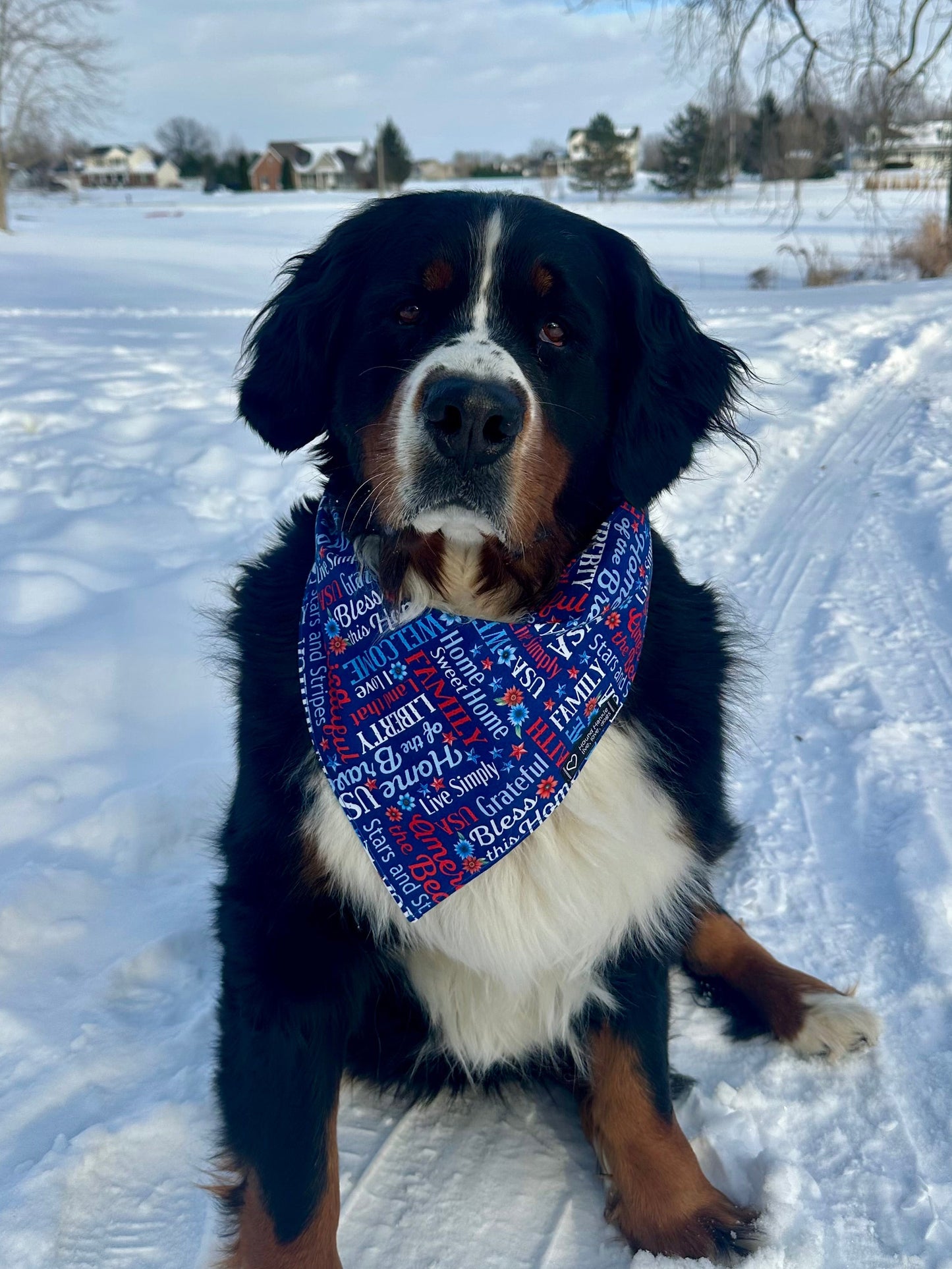Red, White & Blue Reversible Hound Hankie