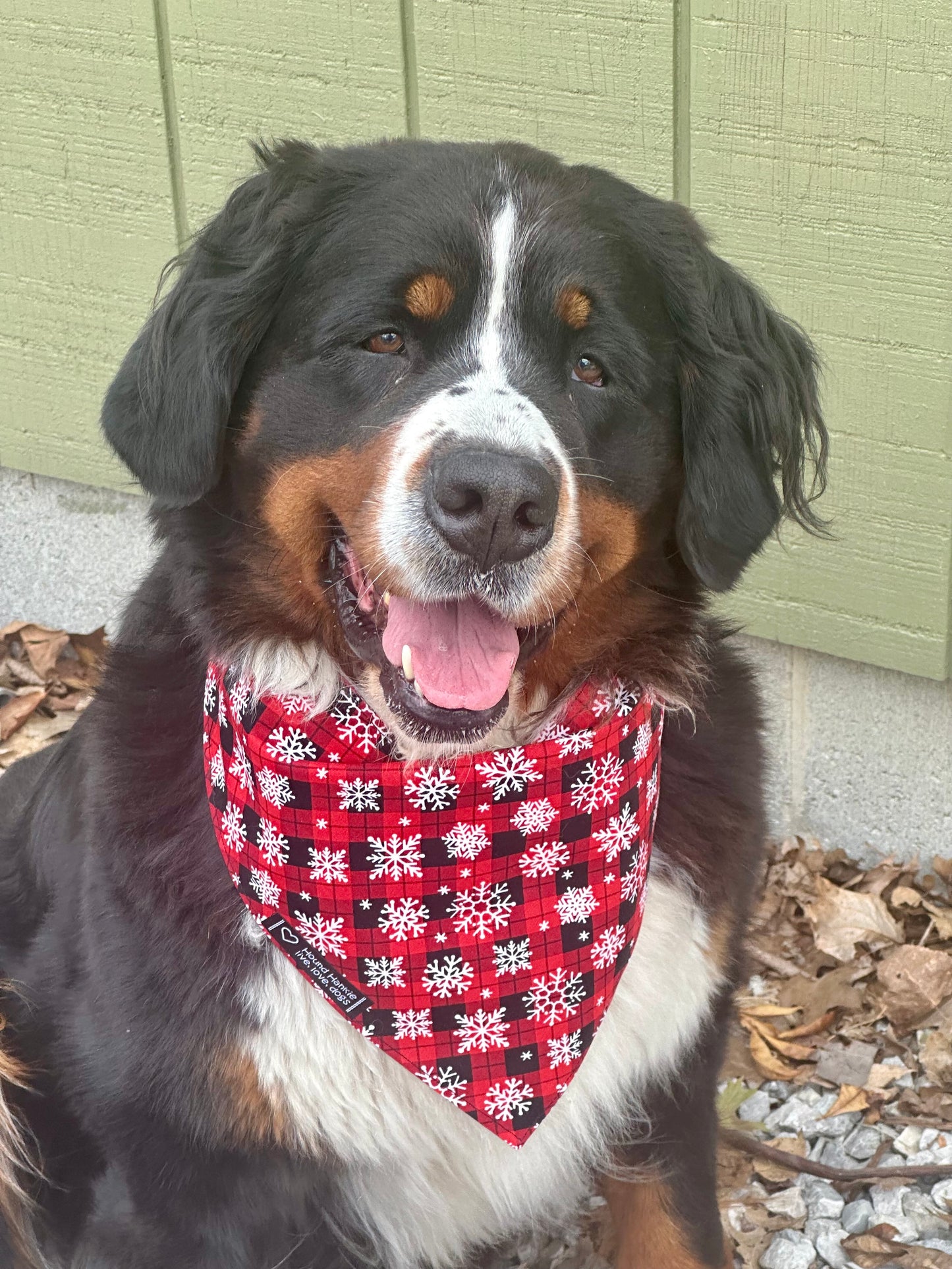 Ho Ho Ho Reversible Dog Bandana