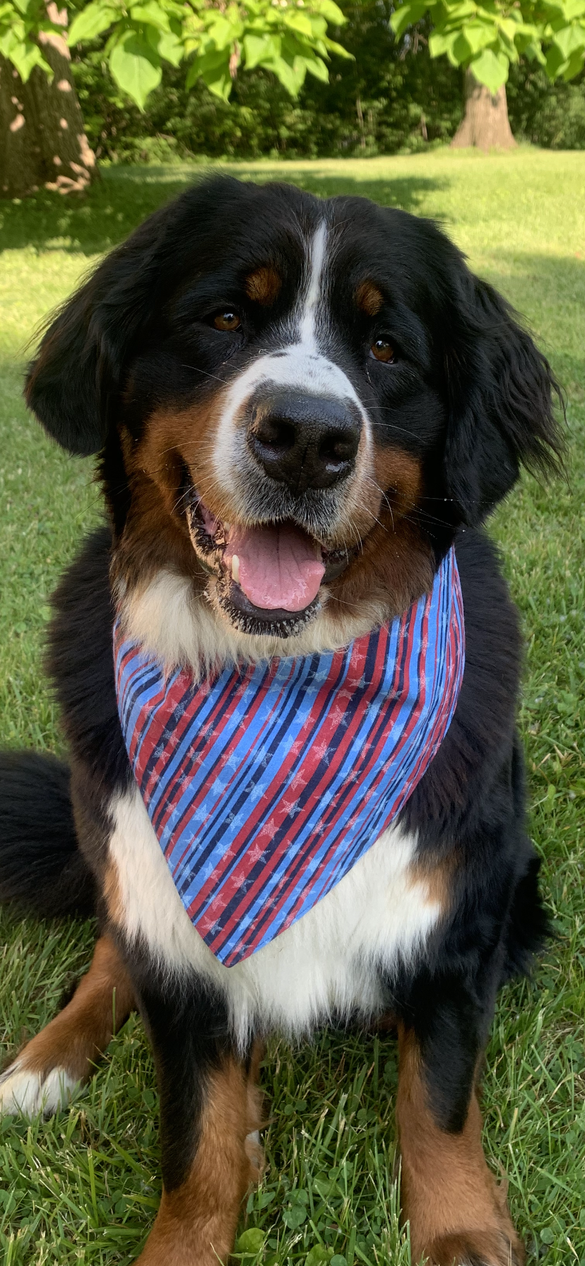 Stars & Stripes Reversible Dog Bandana