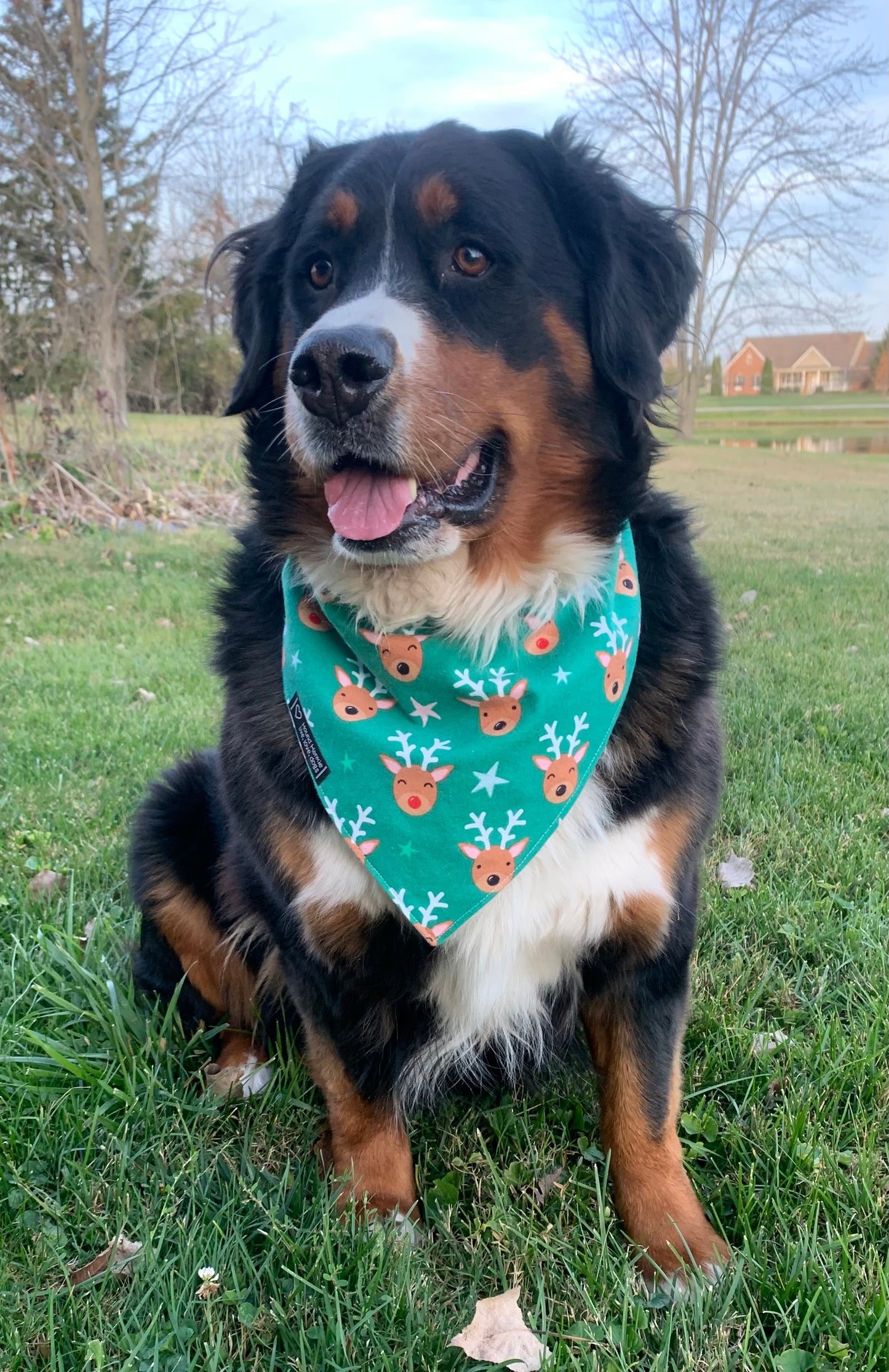 Reindeer Reversible Dog Bandana