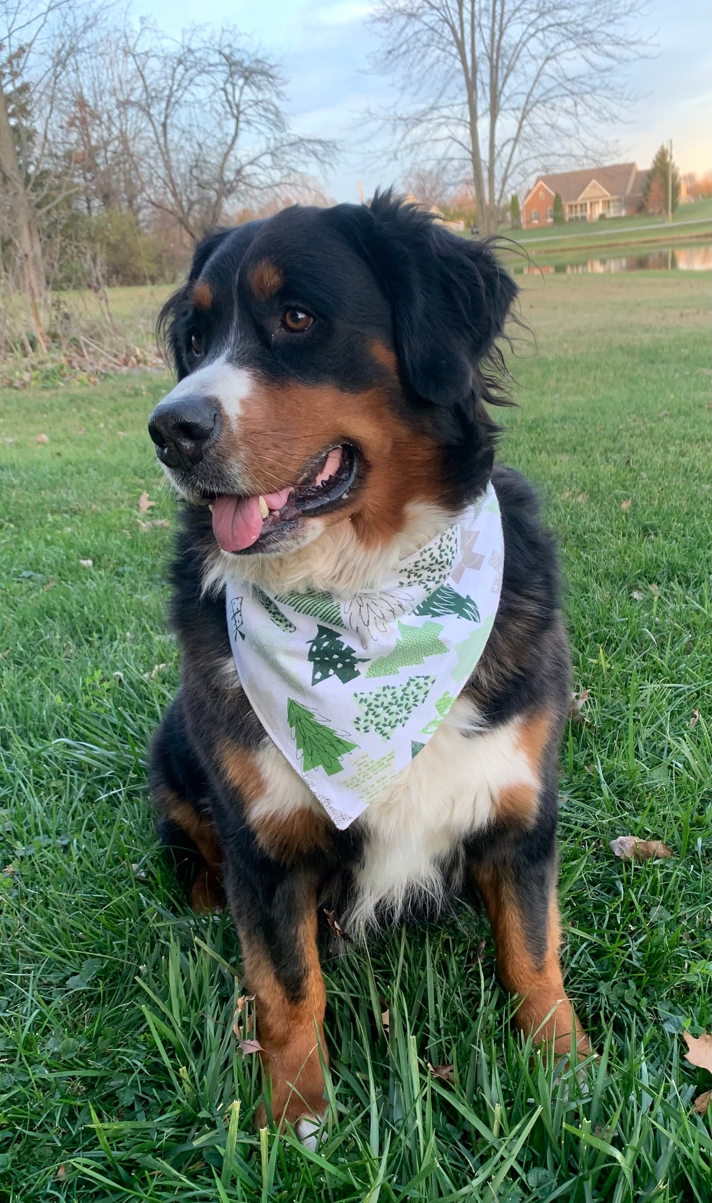 Reindeer Reversible Dog Bandana