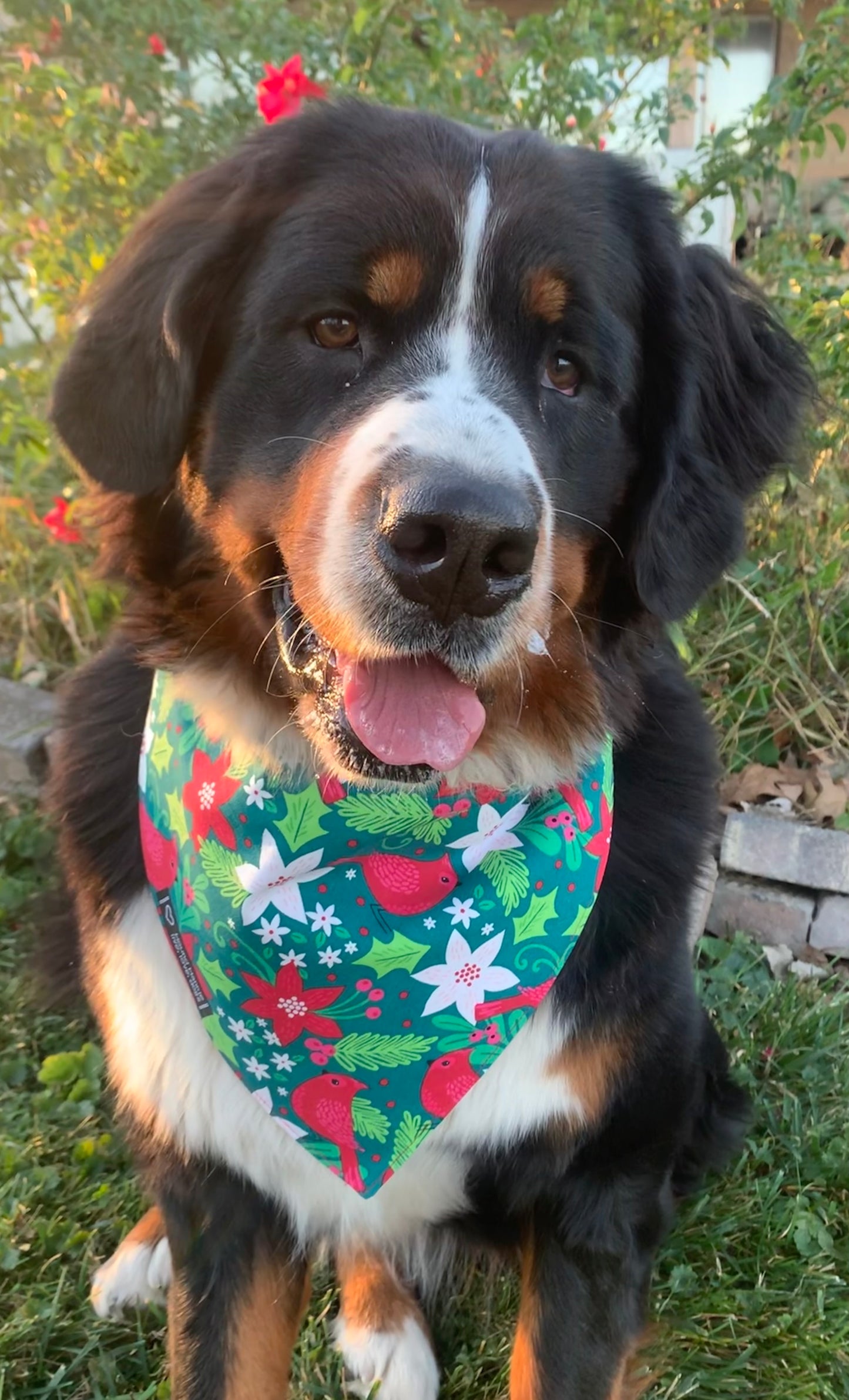 Nature's Christmas Song Reversible Dog Bandana