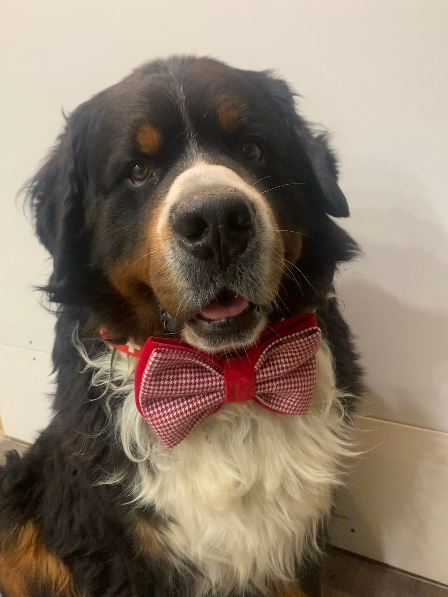 Houndstooth Bow Tie