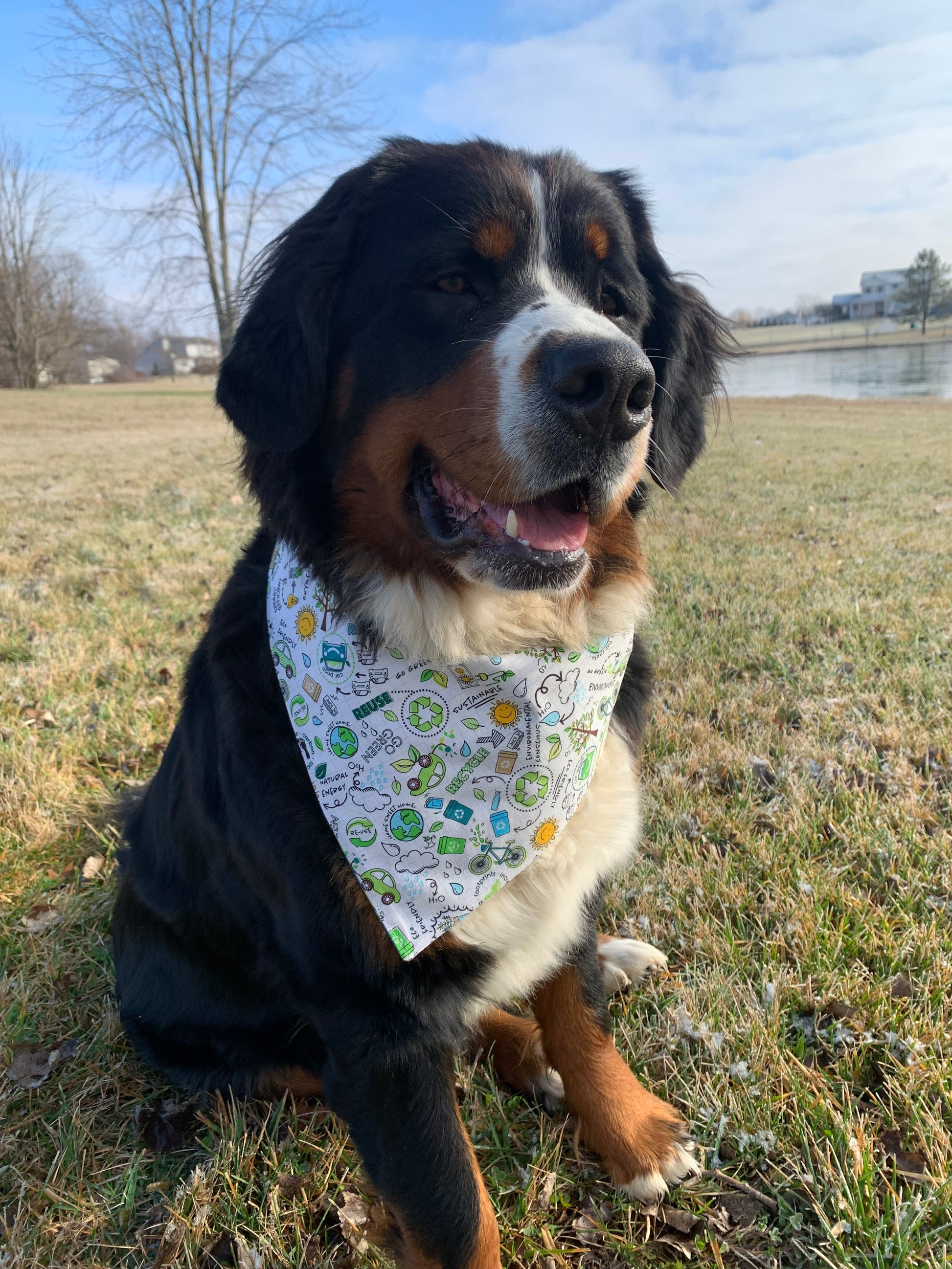 Friendly cheap dog bandana