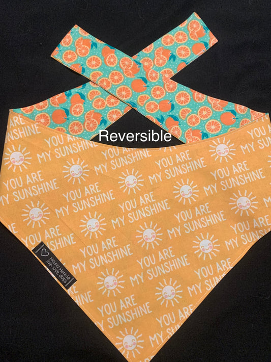 You are my Sunshine Reversible Dog Bandana
