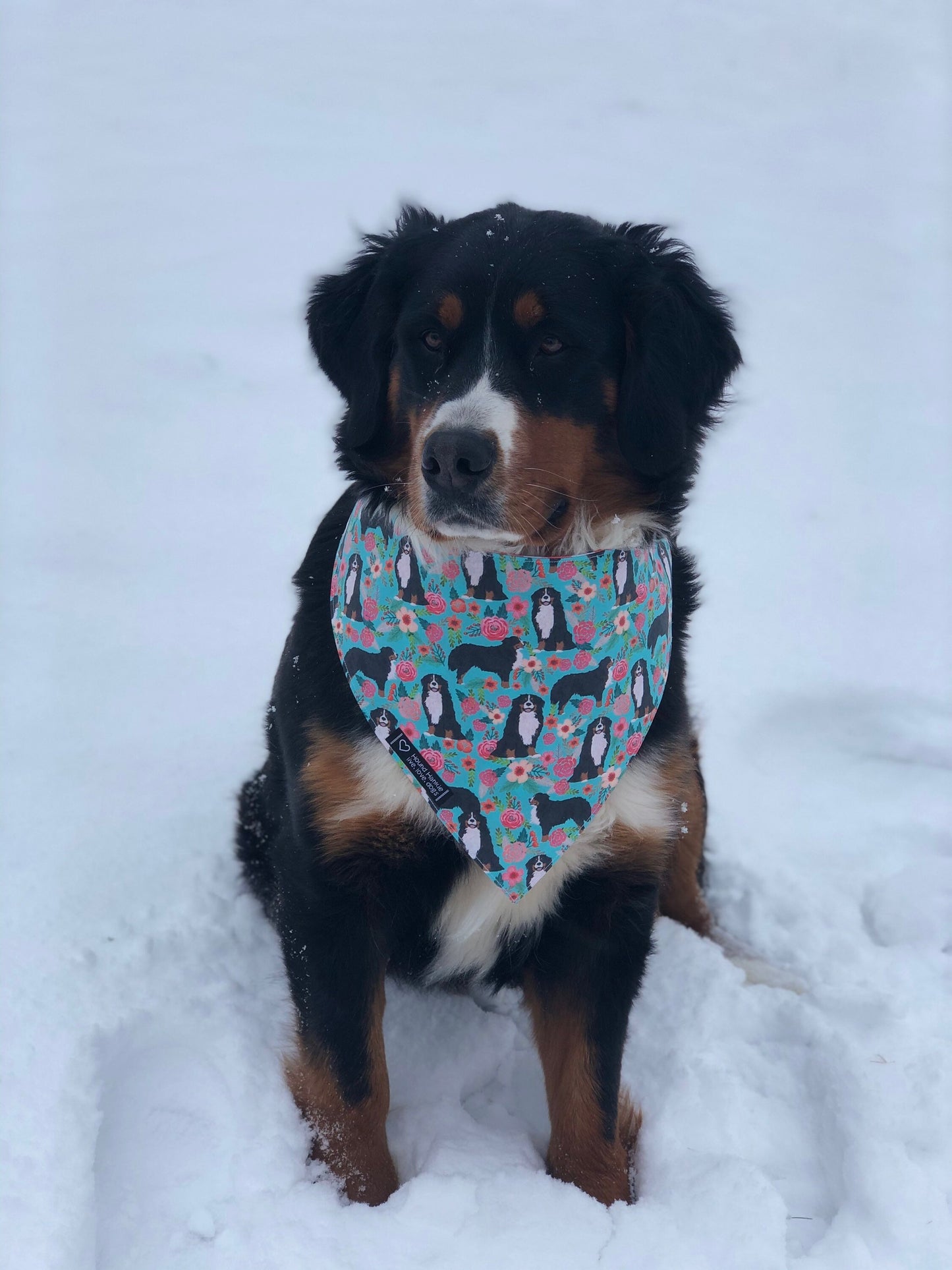 Bernese Mountain Dog Spring Flowers Dog Bandana