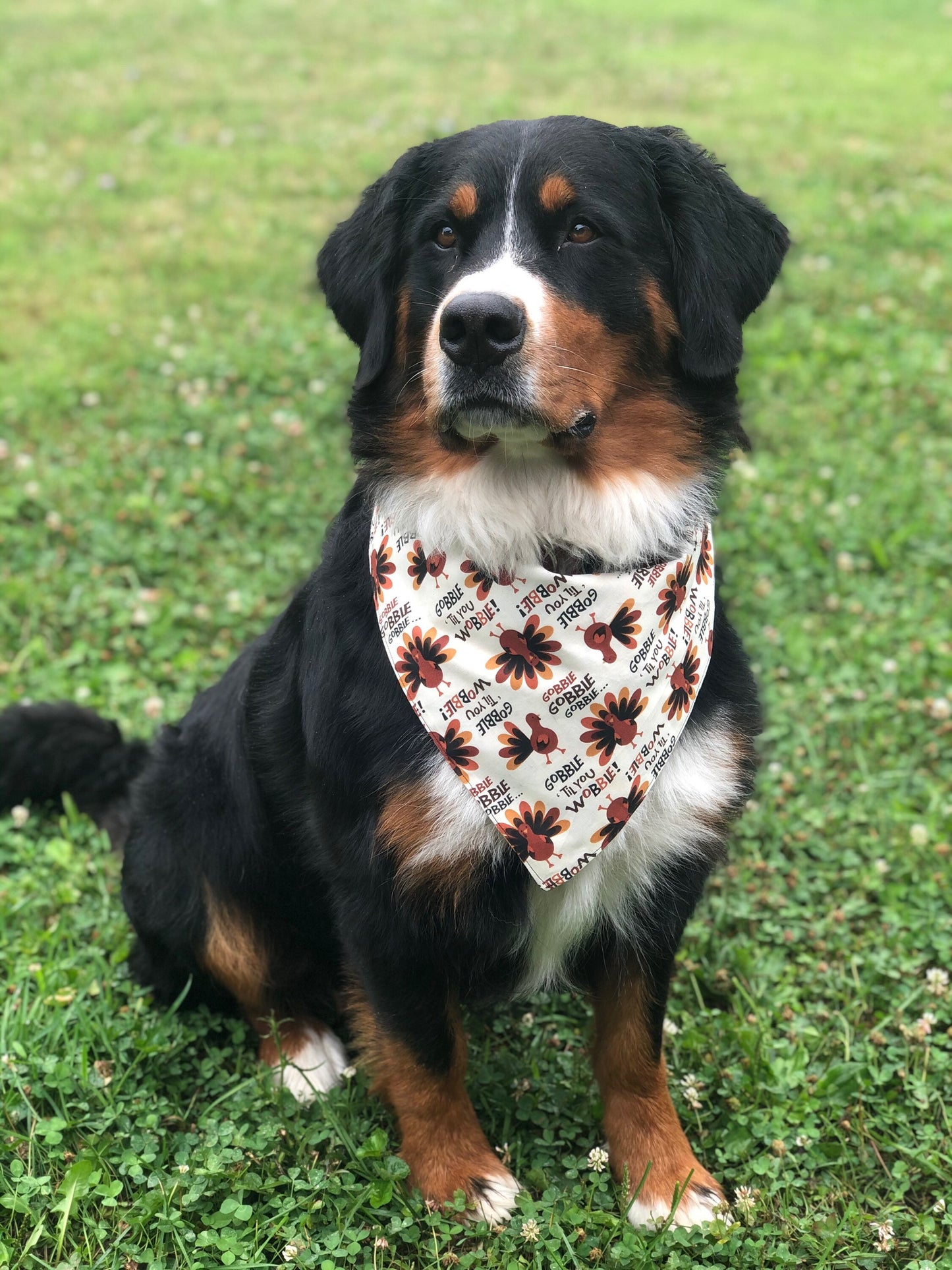 Triple T (Trick, Treat & Turkey) Reversible Dog Bandana