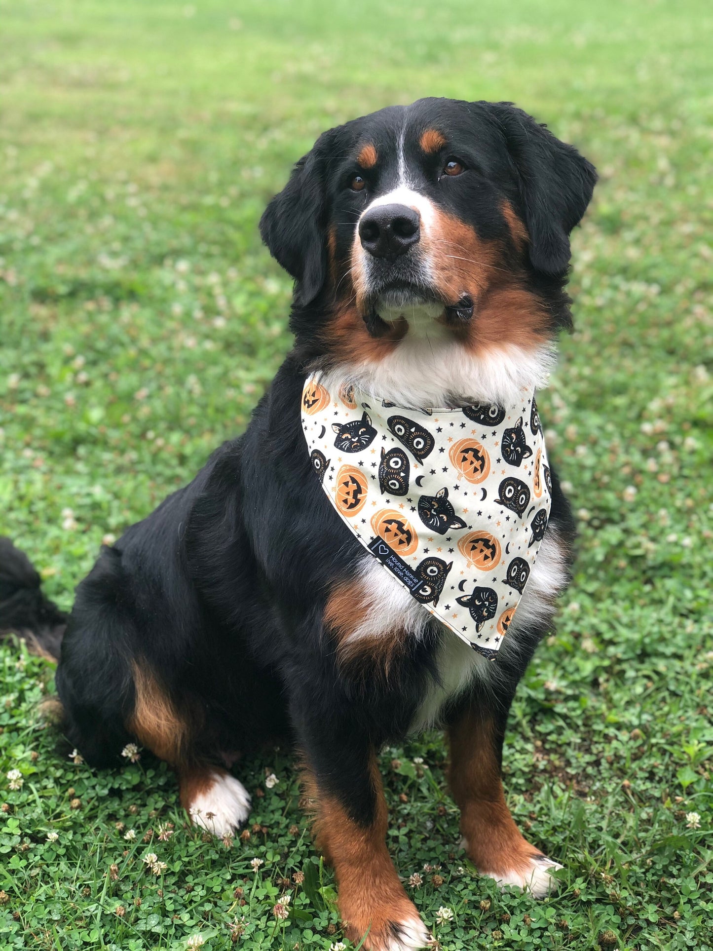 Triple T (Trick, Treat & Turkey) Reversible Dog Bandana