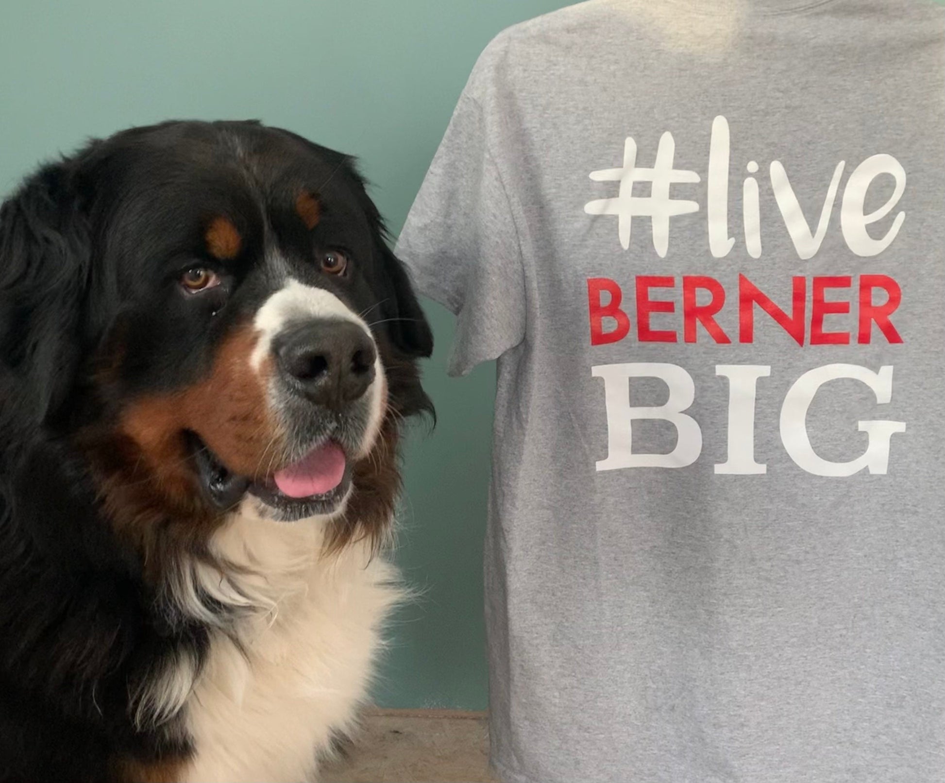 Bernese Mountain Dog Tee Shirt Bernergarde – That Bear