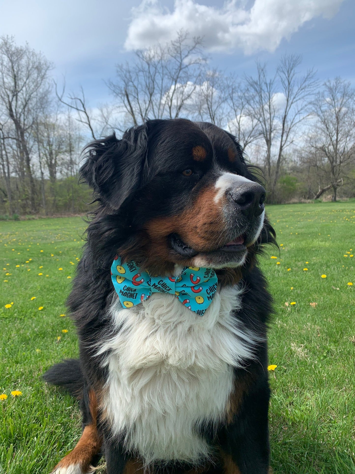 Chick Magnet Reversible Dog Bandana