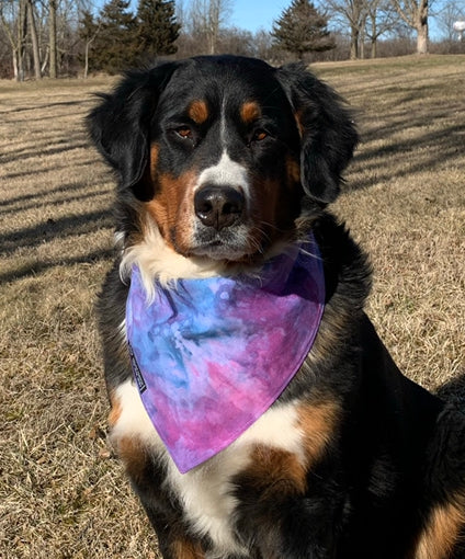 Snow Tie Dye Dog Bandanas